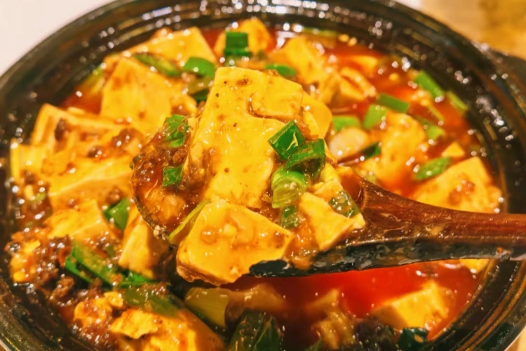 Chengdu Mapo Tofu