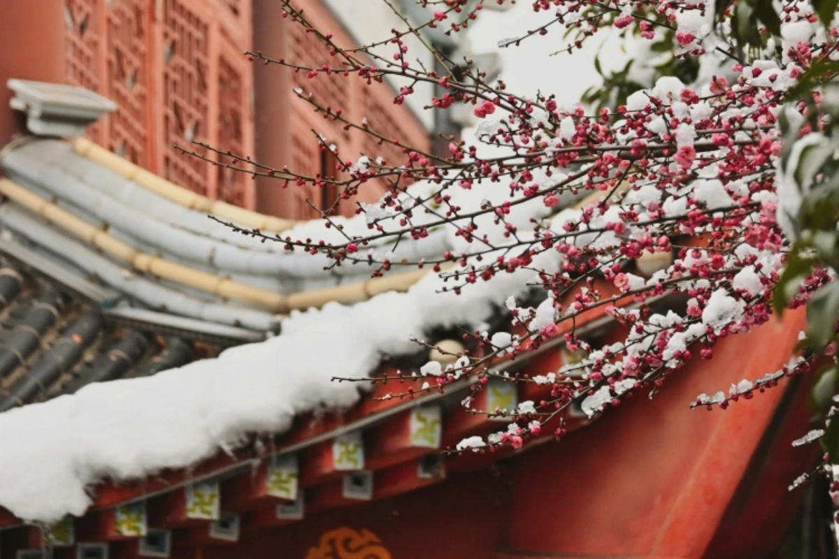 China Spring March