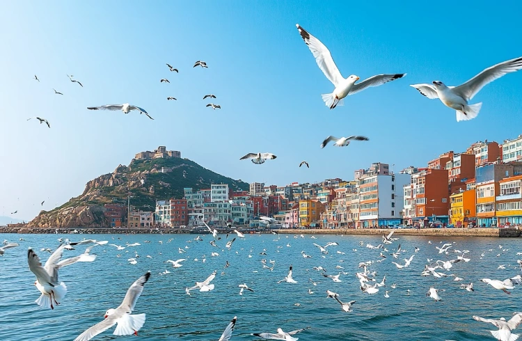 Dalian