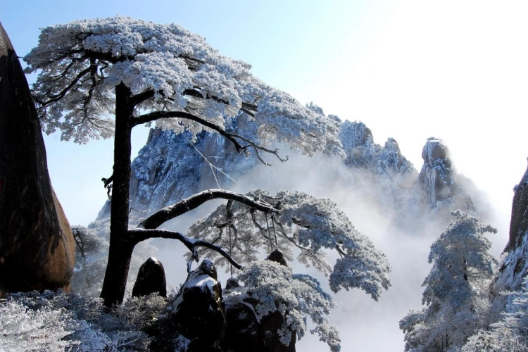 Huangshan Yellow Mount Winter