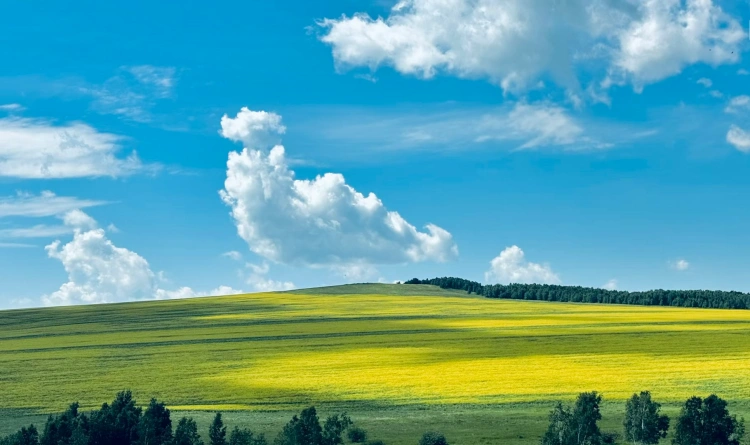 Hulunbuir Grassland