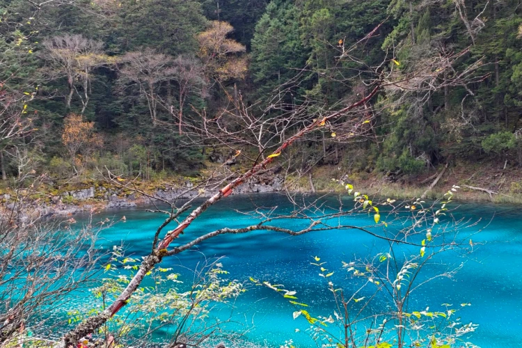 Jiuzhaigou Wucaichi