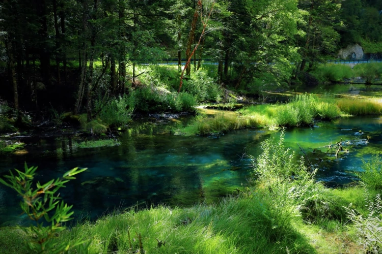 Jiuzhaigou Yuanshi senlin