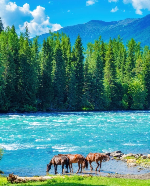 Kashgar