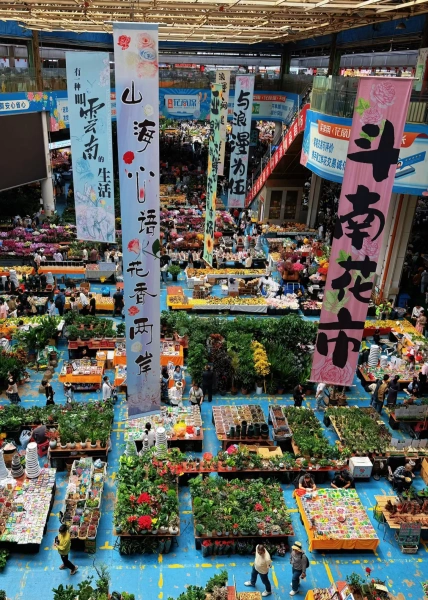 KunMingFlowerMarket