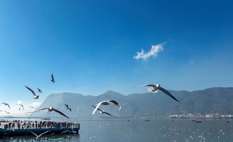Kunming Dianchi Lake