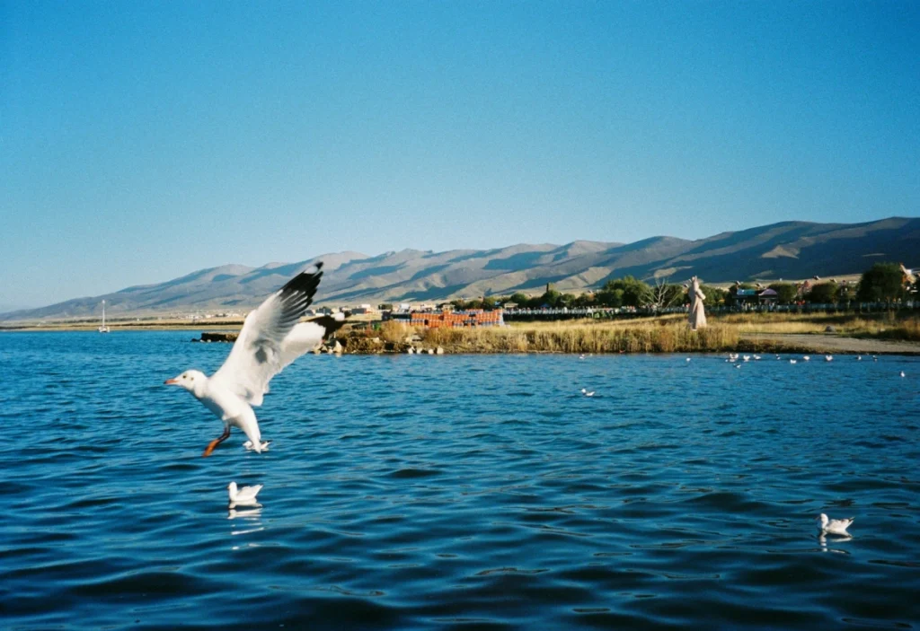 Qinghai Lake