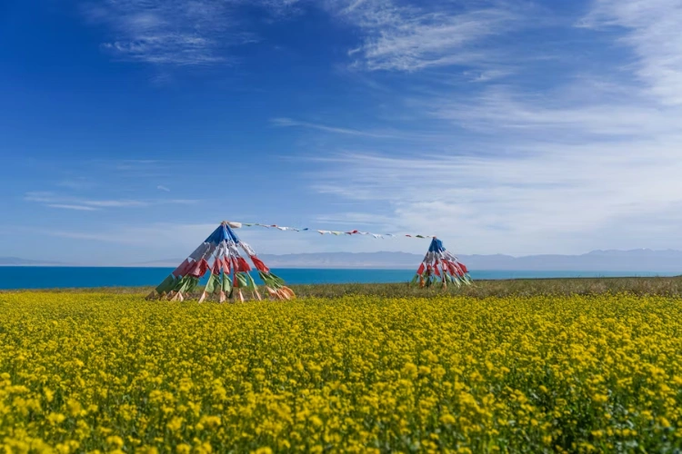 Qinghai Lake