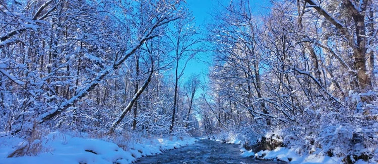 Rime Drift