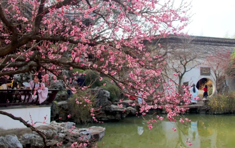 Suzhou Ancient Gardens Spring