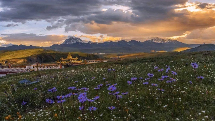 Tagong Grassland