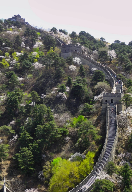 The Great Wall Spring