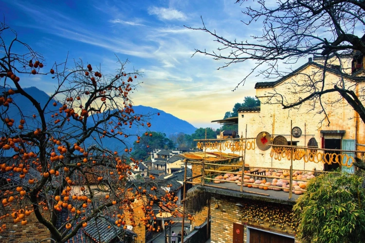 Wuyuan Autumn