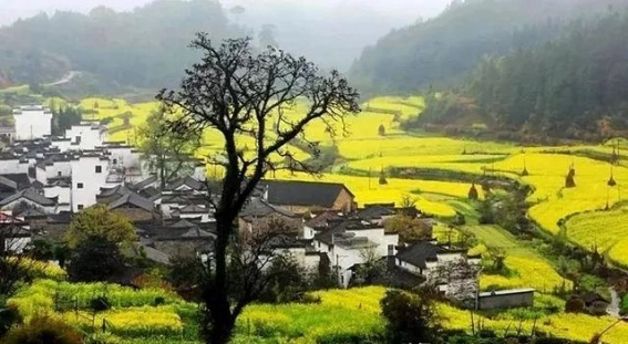 Wuyuan Spring