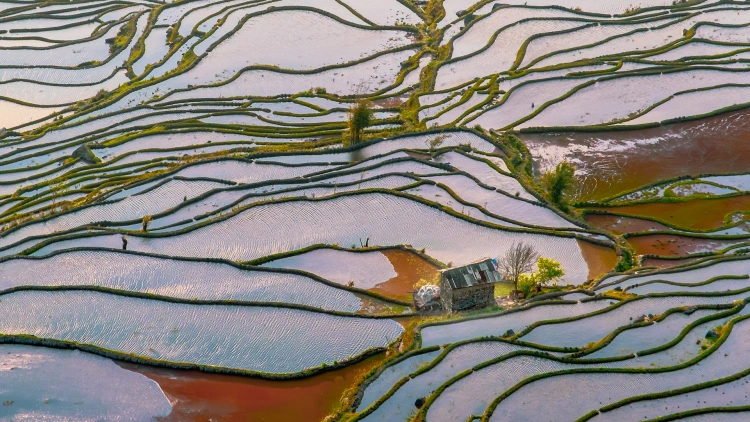 Yuanyang Rice Terraces