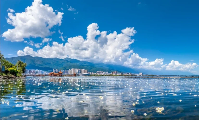yunnan