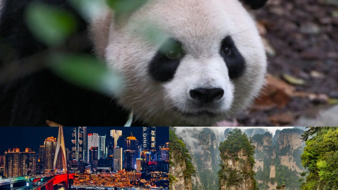Chengdu Chongqing Zhangjiajie Tour