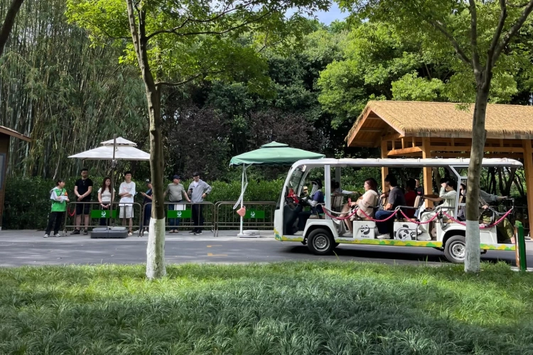 Chengdu Panda Base Shuttle Buses