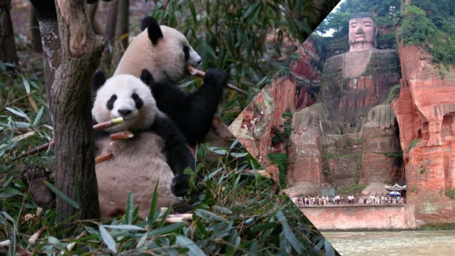 Chengdu Panda Leshan Giant Buddha