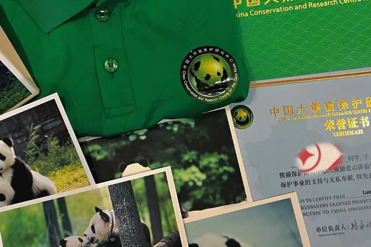 Chengdu Panda Volunteer Tour
