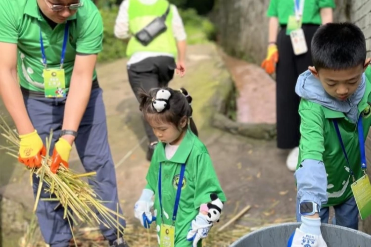 Chengdu Panda Volunteer Tour
