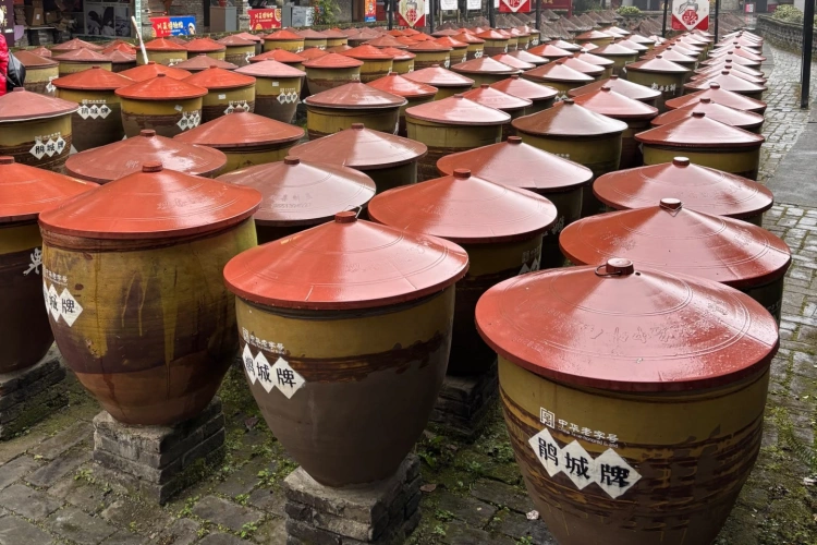 Chengdu Food Tour
