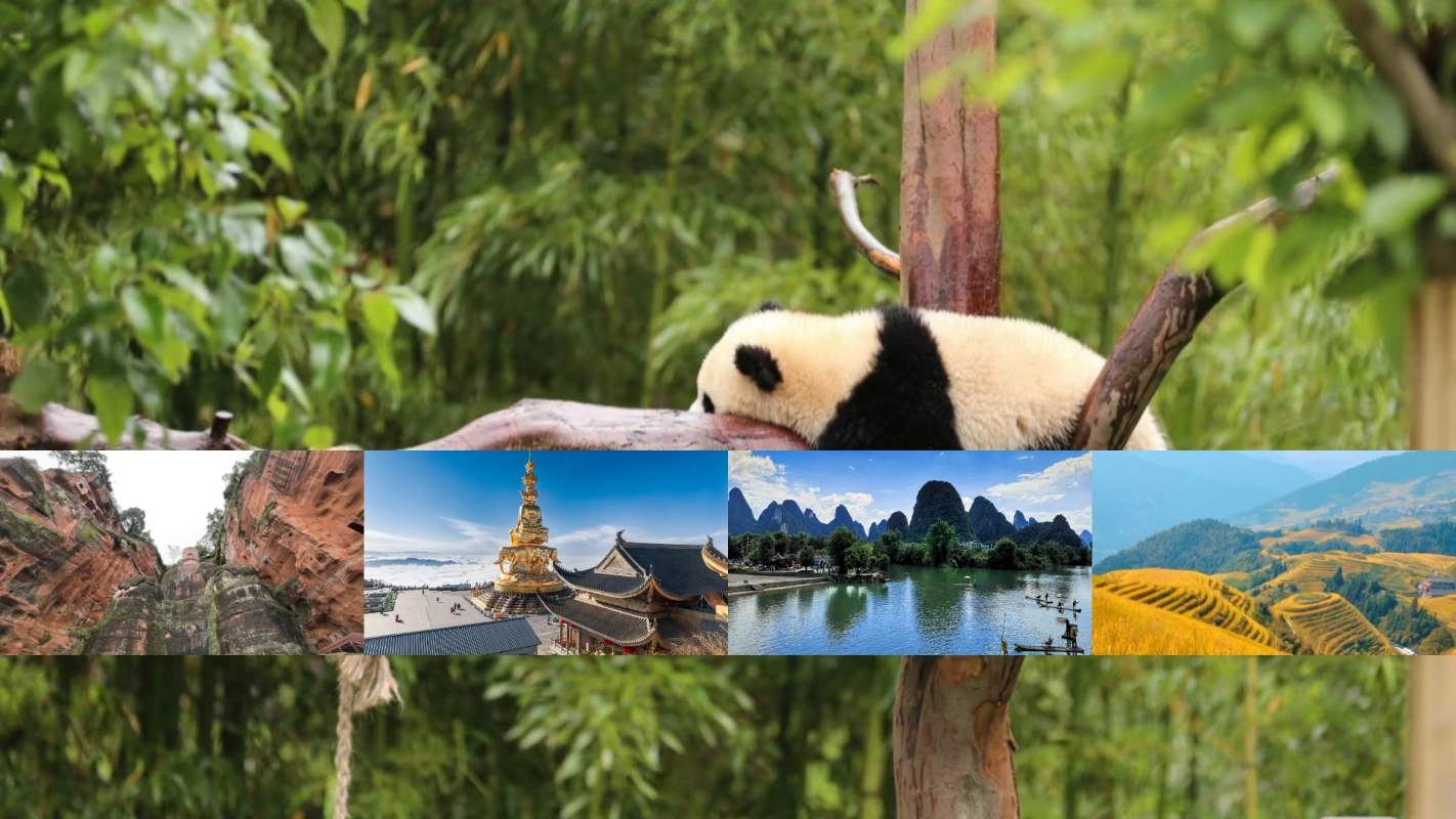 Chengdu Leshan Emei Yangshuo Tour
