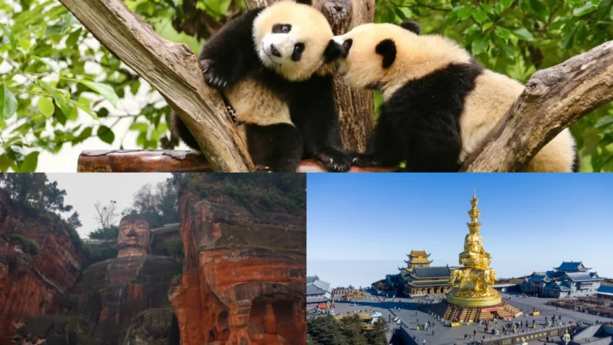 Chengdu Leshan Emei tour