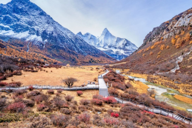 Daocheng Yading Luorong Pasture
