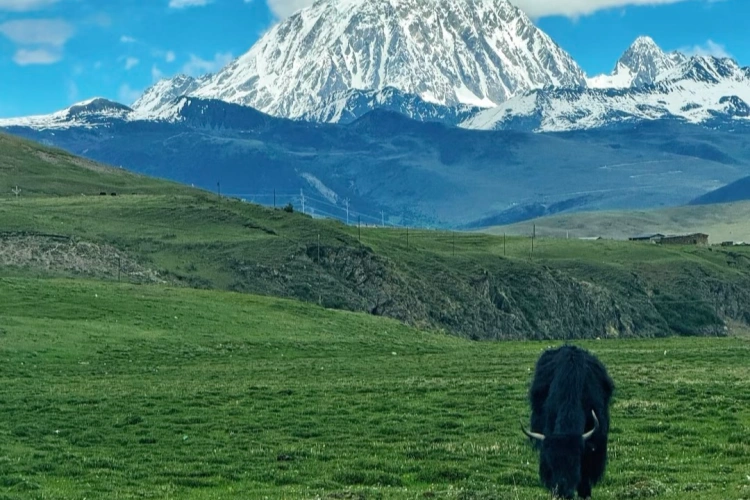 Kangding Tagong Grassland