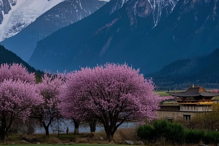 Nyingchi spring