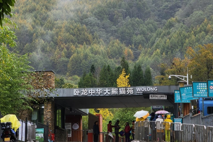 Wolong Panda Base Gate