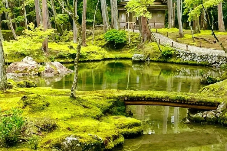 Japan Kyoto