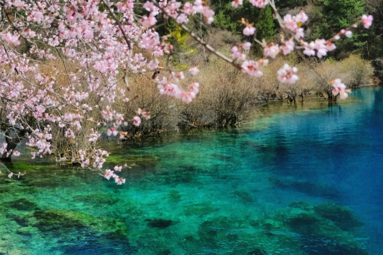 Jiuzhaigou Spring