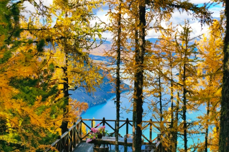 Kanas Autumn