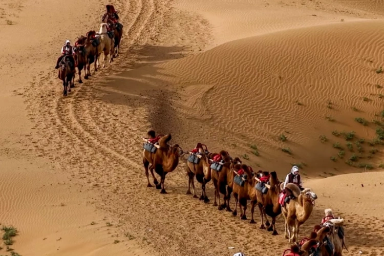Ningxia