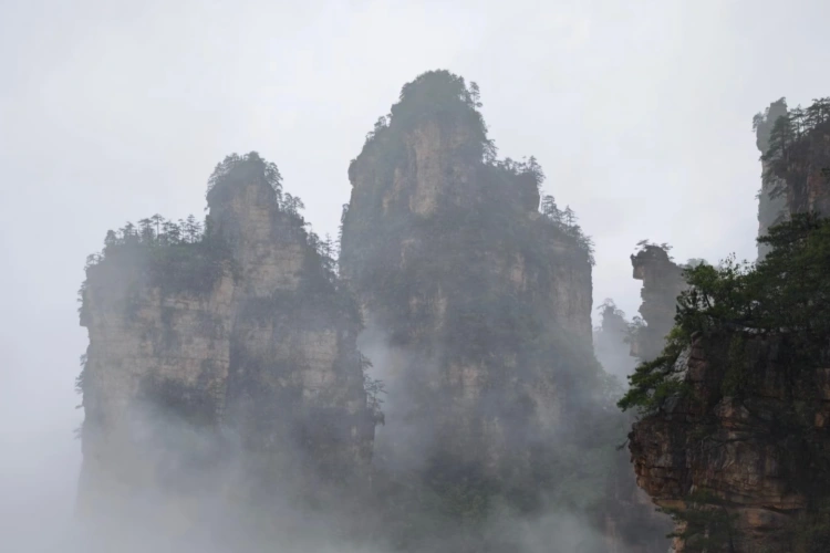 Zhangjiajie Fog After Rain