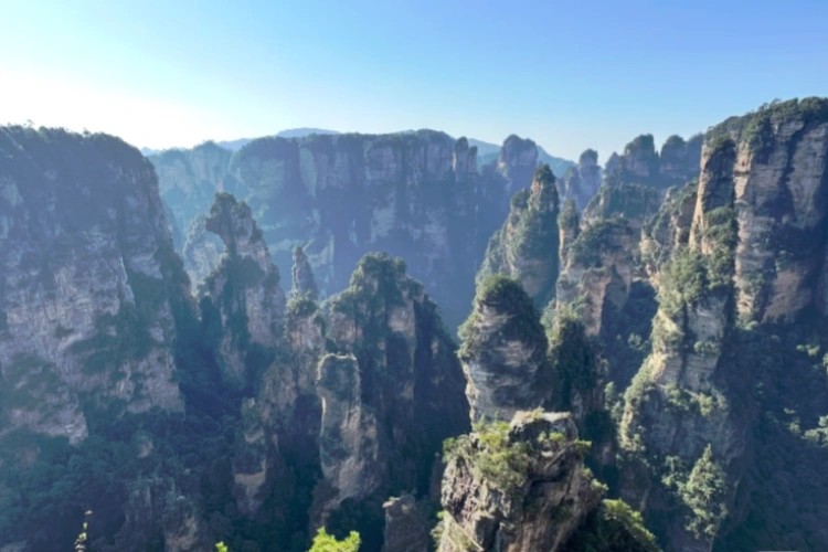 Zhangjiajie Yangjiajie