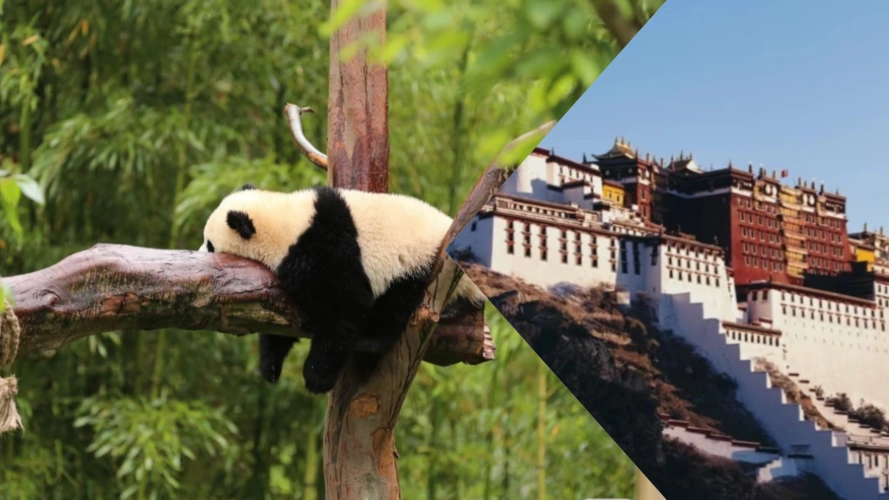 chengdu to lhasa tours