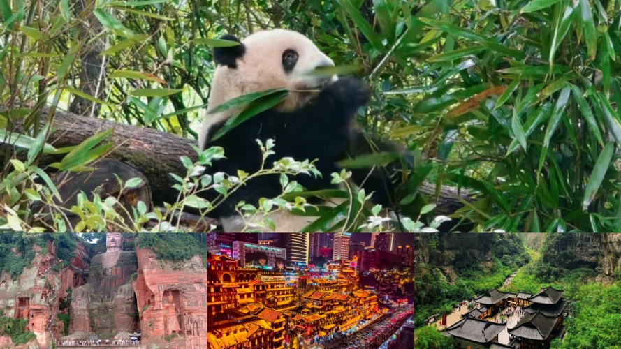 Chengdu Chongqing Tours
