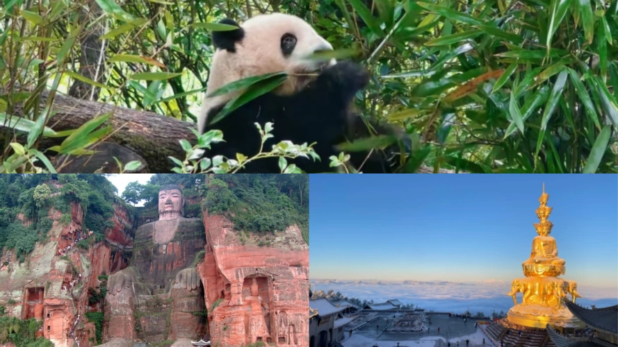 Chengdu Leshan Emei Tour