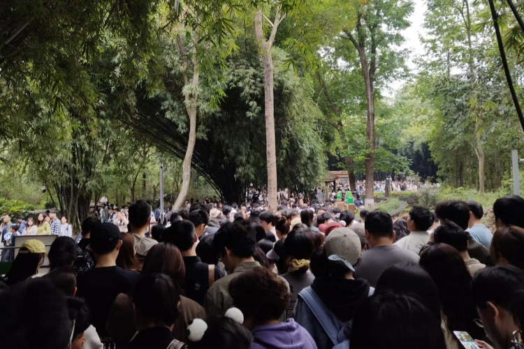 Chengdu Panda Base Travelers