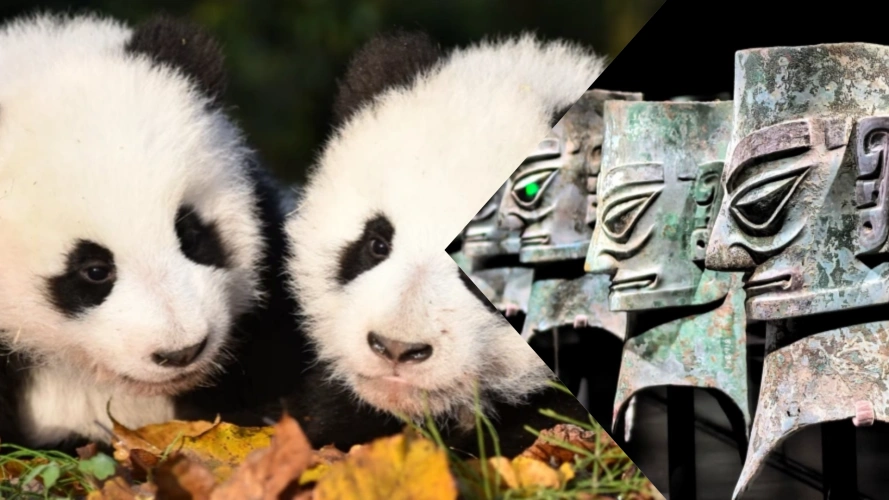 Chengdu Panda Sanxingdui