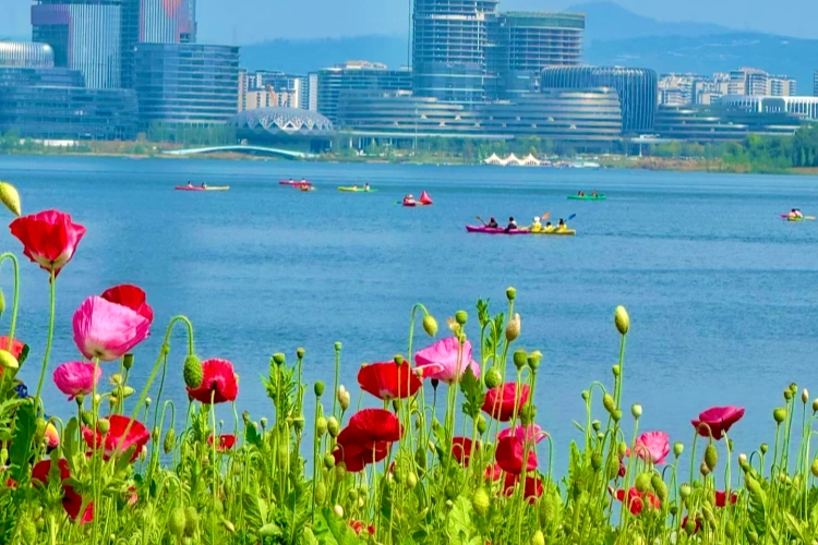 Chengdu Xinglong Lake