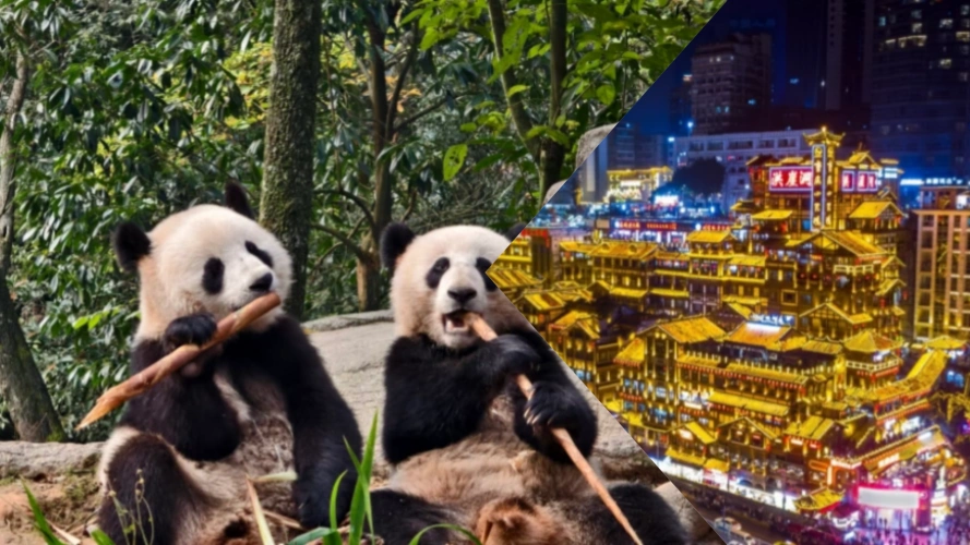 Chengdu Chongqing Tour