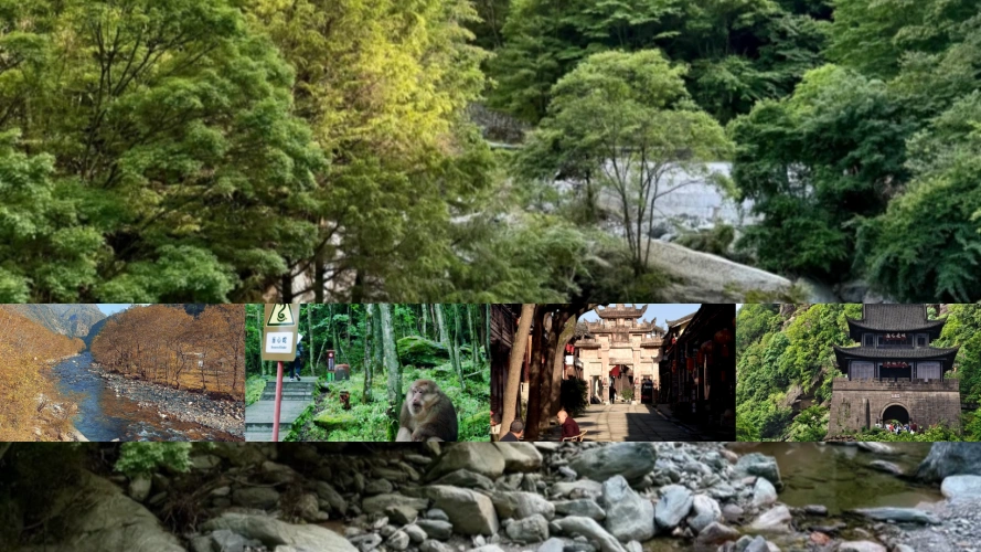 Chengdu Tangjiahe Nature Reserve Tour