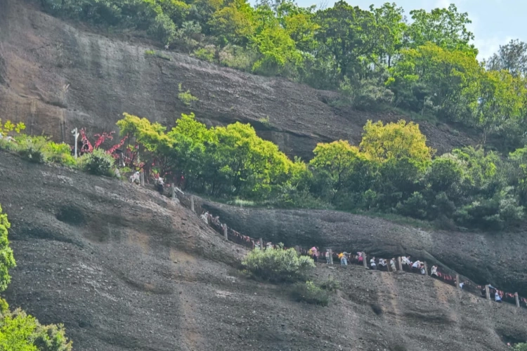 Sichuan Jianmen Padd Bird Path