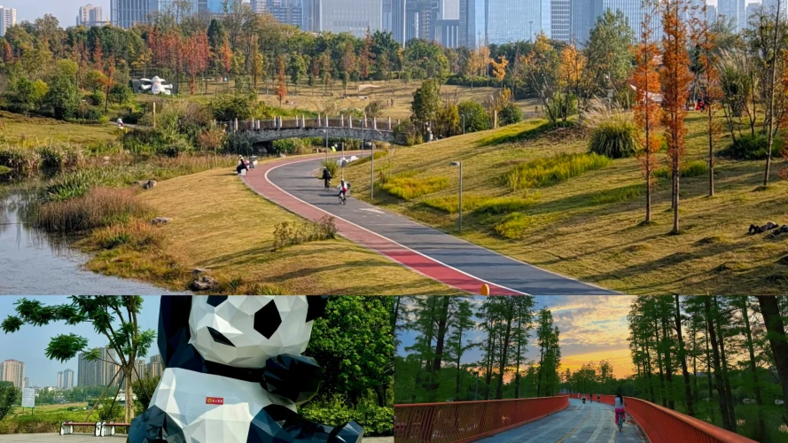 Chengdu Tianfu Greenway Biking Tour