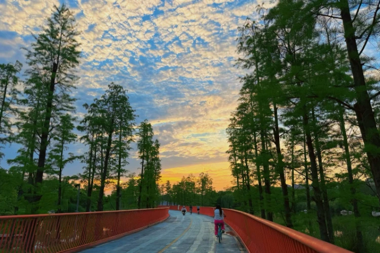 Chengdu Tianfu Greenway Riding