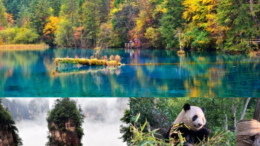 Jiuzhaigou Zhangjiajie Chengdu Tour